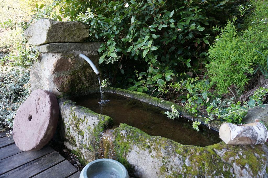 Bed & Breakfast Du Thiollet 3*