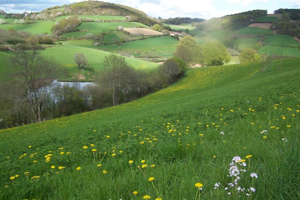 Du Thiollet 3*