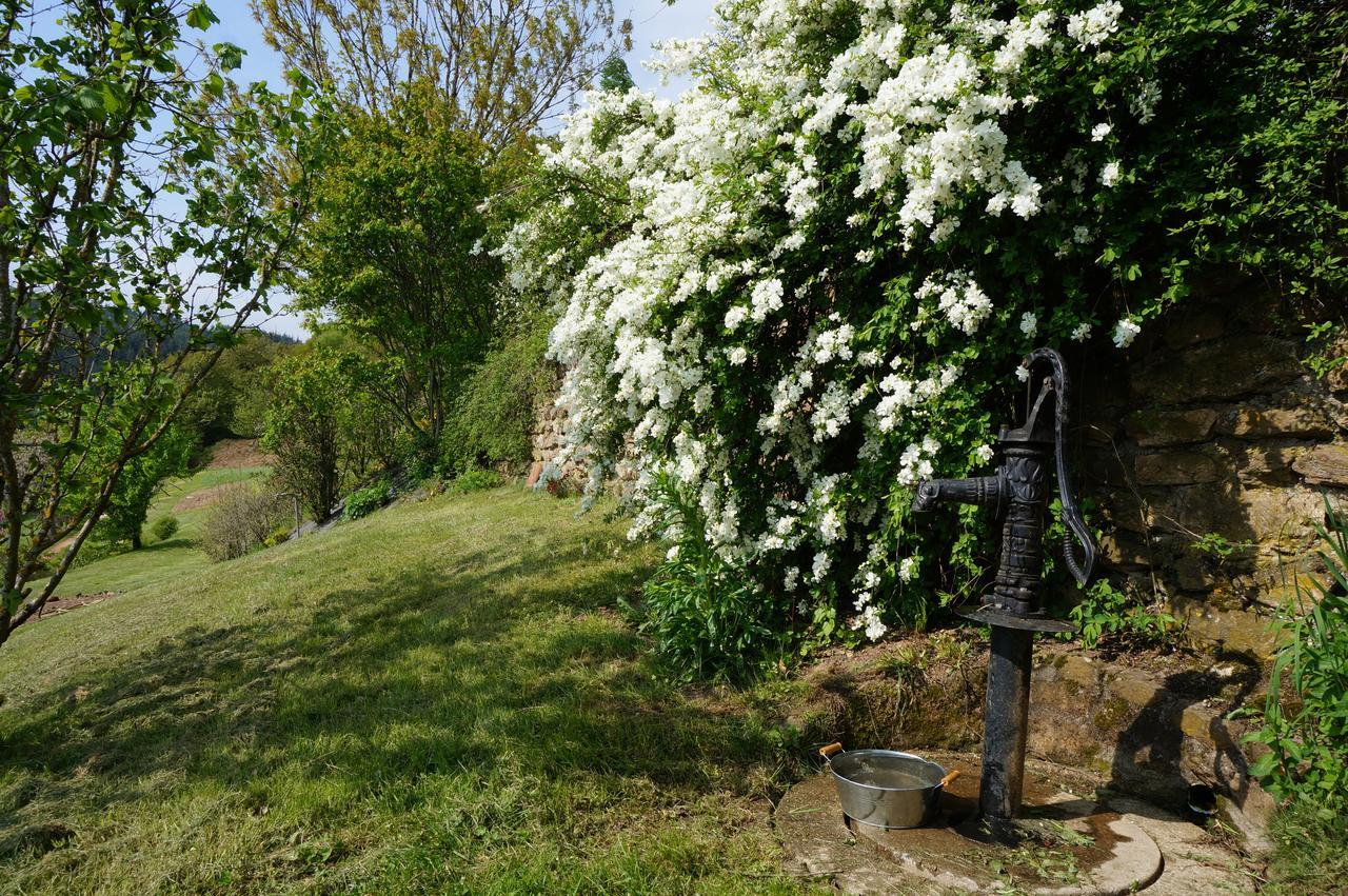 Du Thiollet Bed & Breakfast Montromant